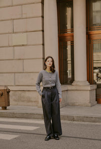 Petite Studio's Carlo Wool Blend Wide Pants in Grey